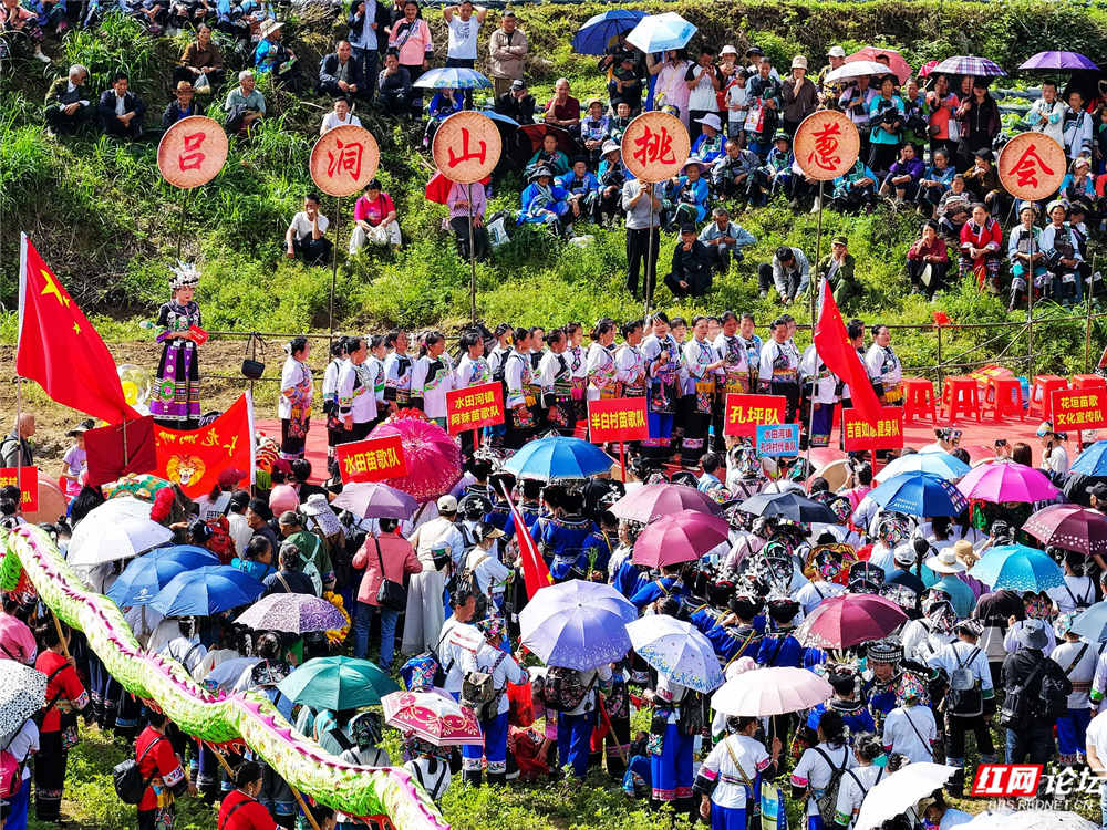 「每日一图@湖南」湘西保靖“挑葱会”，把野葱与苗歌当定情物 - 图8
