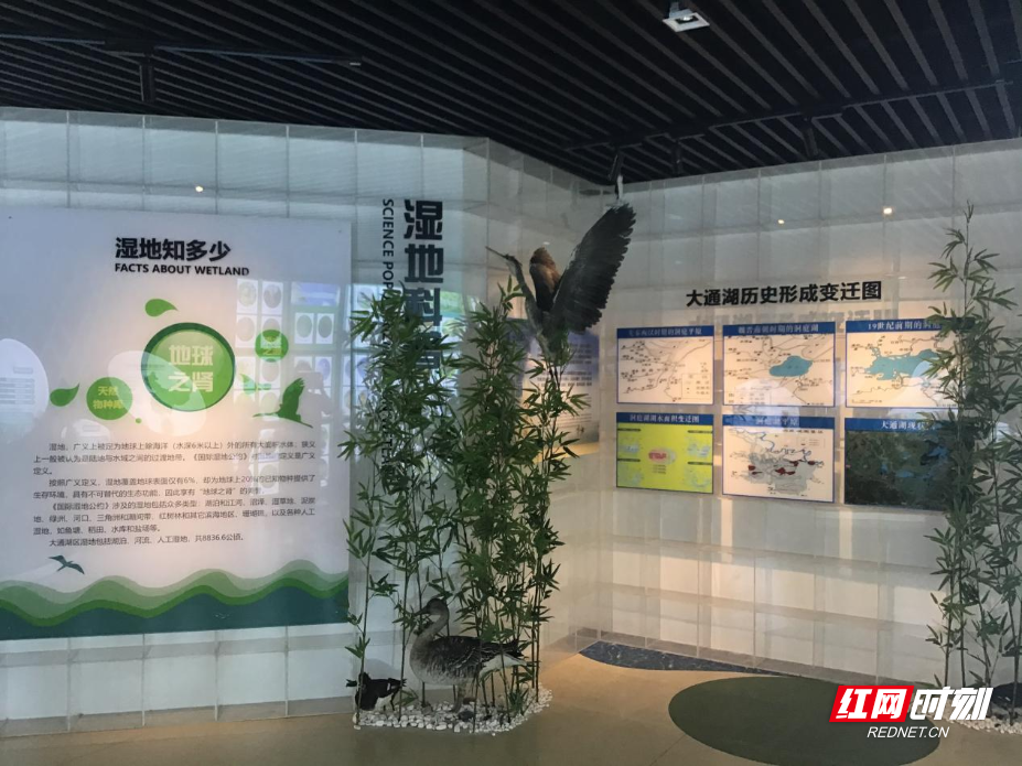 出发，湖南⑧｜行水乡环湖路，品洞庭湿地风光 - 图6