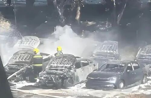 74岁老人点燃杨絮烧毁20辆新能源车！已被采取刑事强制措施 - 图4