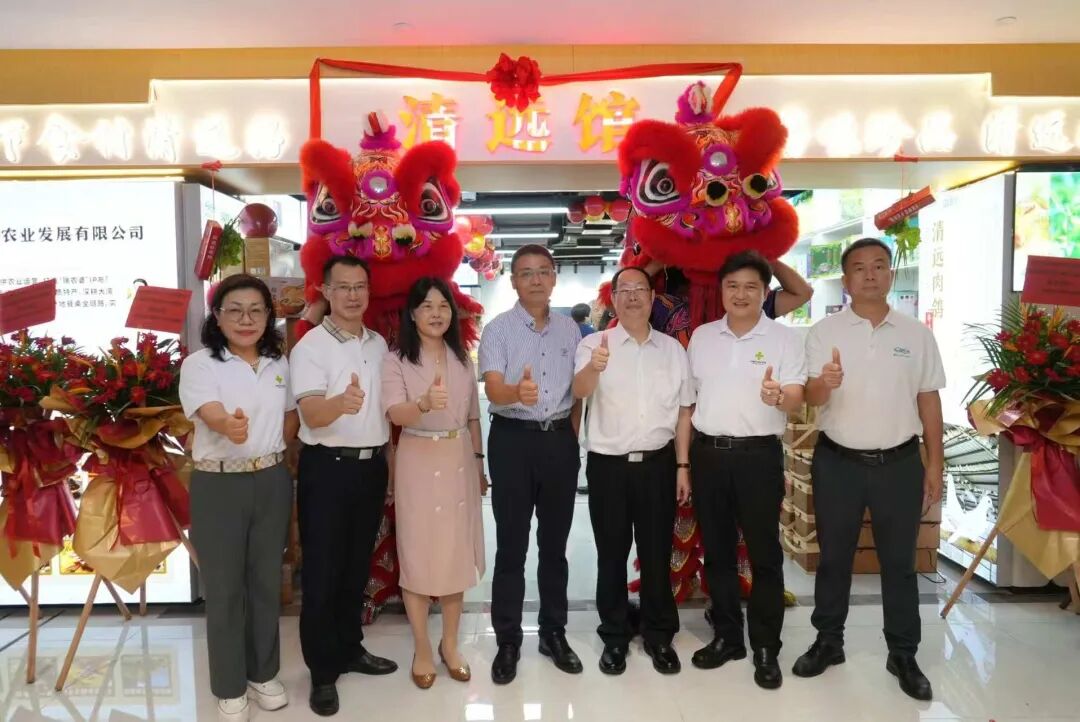 湾区赋能启新篇 清远馆盛大开业｜广东盈辉集团助力广清协作高质量发展 - 图13