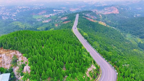不用去新疆！河南有属于自己的“阿勒泰” - 图4