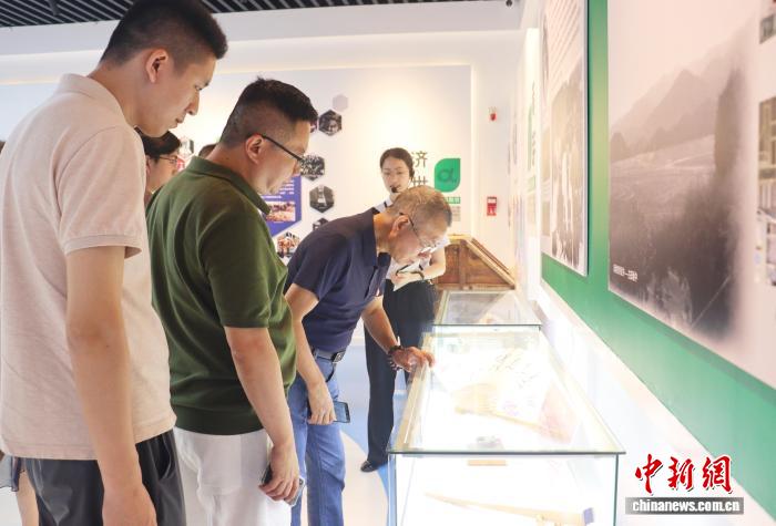 海外专家学者福建宁德考察 侨智建言助力产业与乡村发展 - 图2