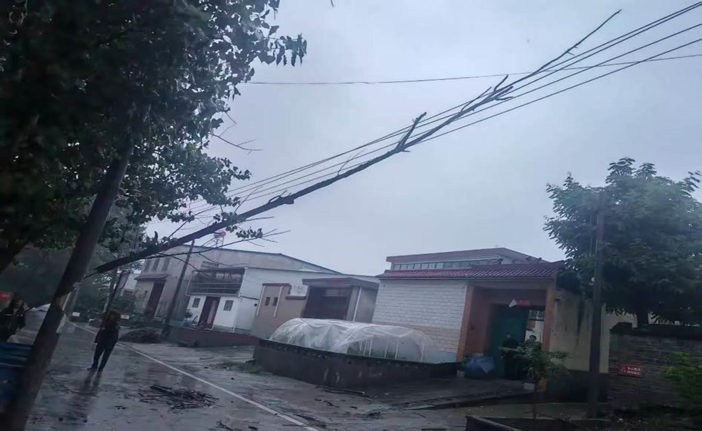河南多地被应急管理部通报表扬！ - 图23