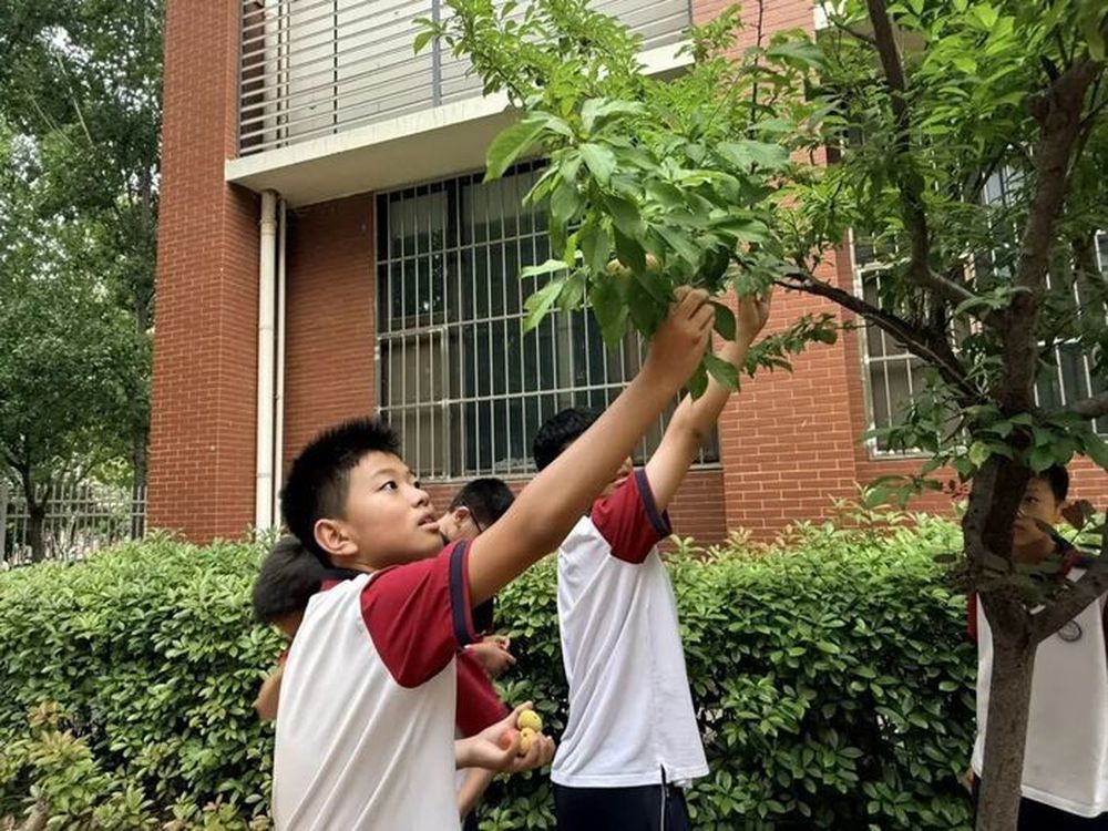 济南高新区雅文学校双维育人赋能学子成长 - 图1