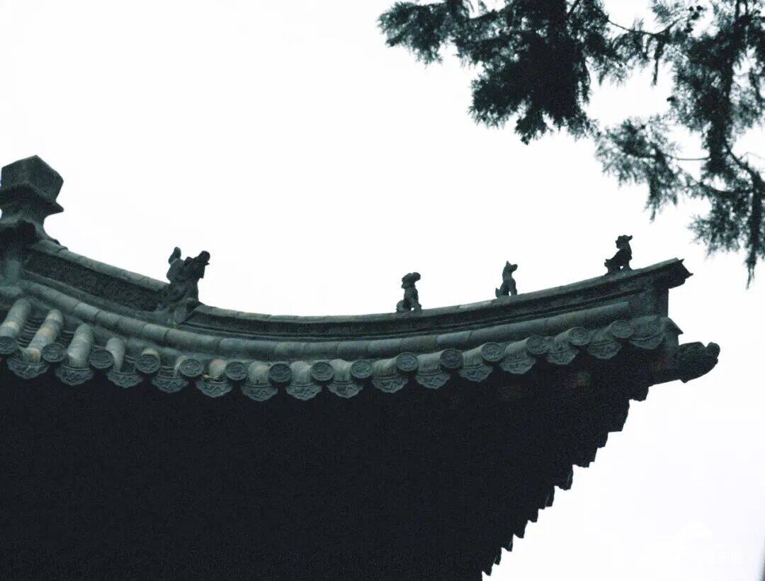 初夏寻幽王母池 邂逅泰山温柔时光 - 图10