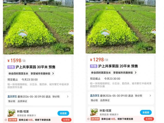 盒马APP可下单租地种菜？客服：正在小范围试点 - 图1