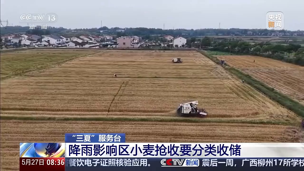 “三夏”抢收正值汛期，如何科学开展“龙口夺粮”？ - 图4