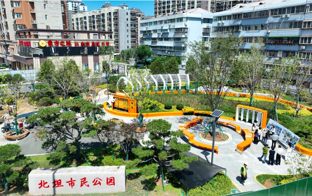 天桥区：“绿色美景”装进百姓家门口 - 图3