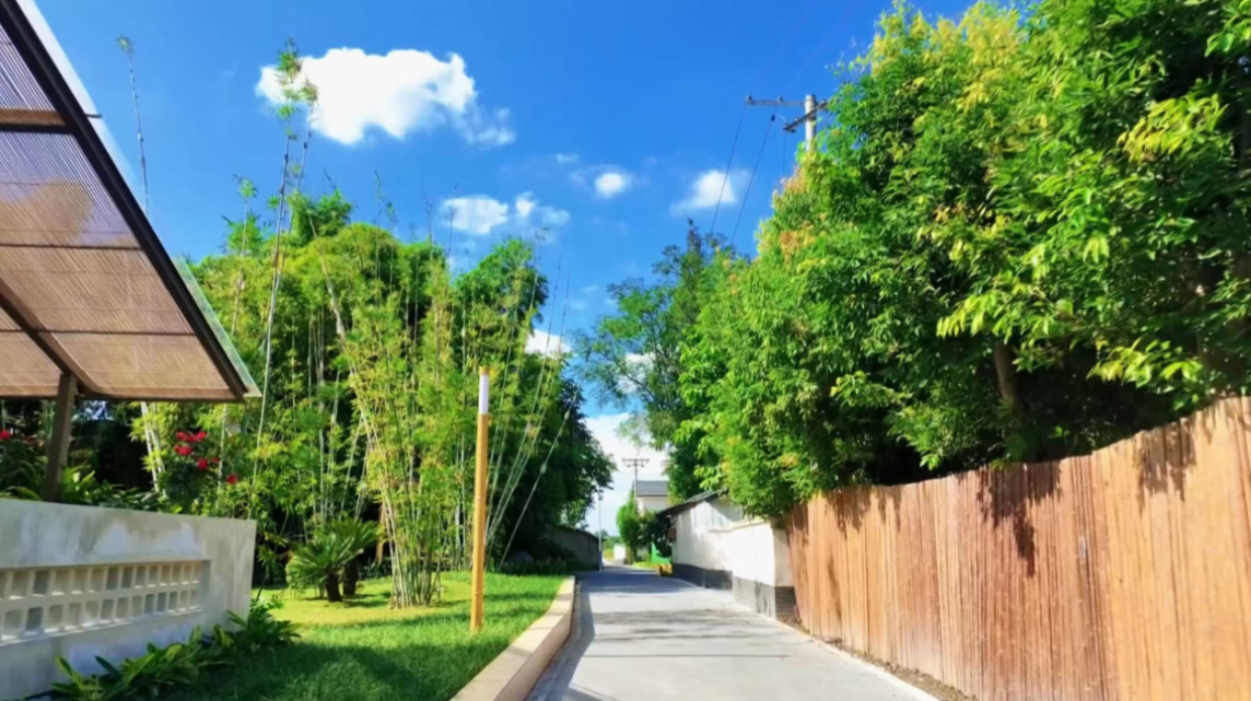 我的乡村超安逸·一线调研丨眉山新光村：在这里，我找到了向往的生活 - 图3