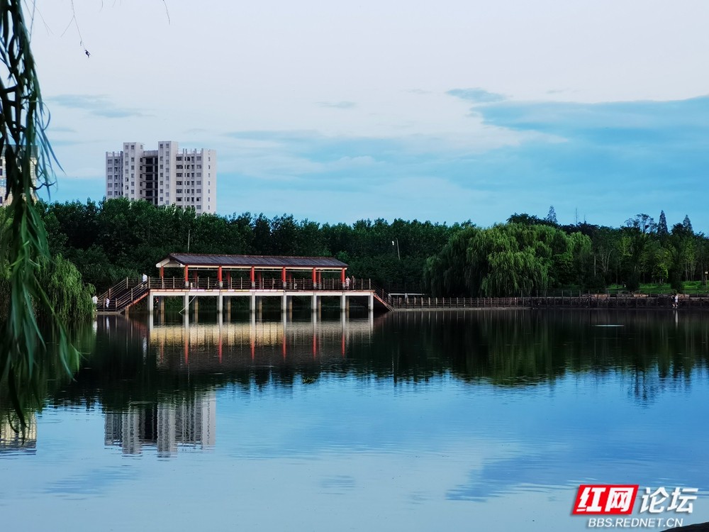 以笔为犁镜头为眼：我与红网相伴的成长答卷 - 图5