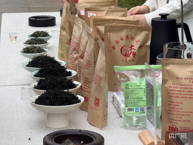 第18届贵州茶产业博览会毕节分会场暨2026太极古茶品牌文化推广季启动 - 图2