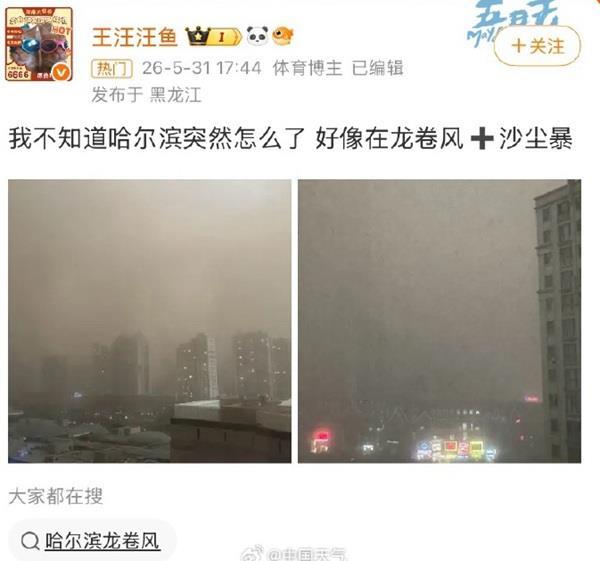 哈尔滨高温之后突遭沙尘暴“一秒天黑” 专家解读→ - 图2