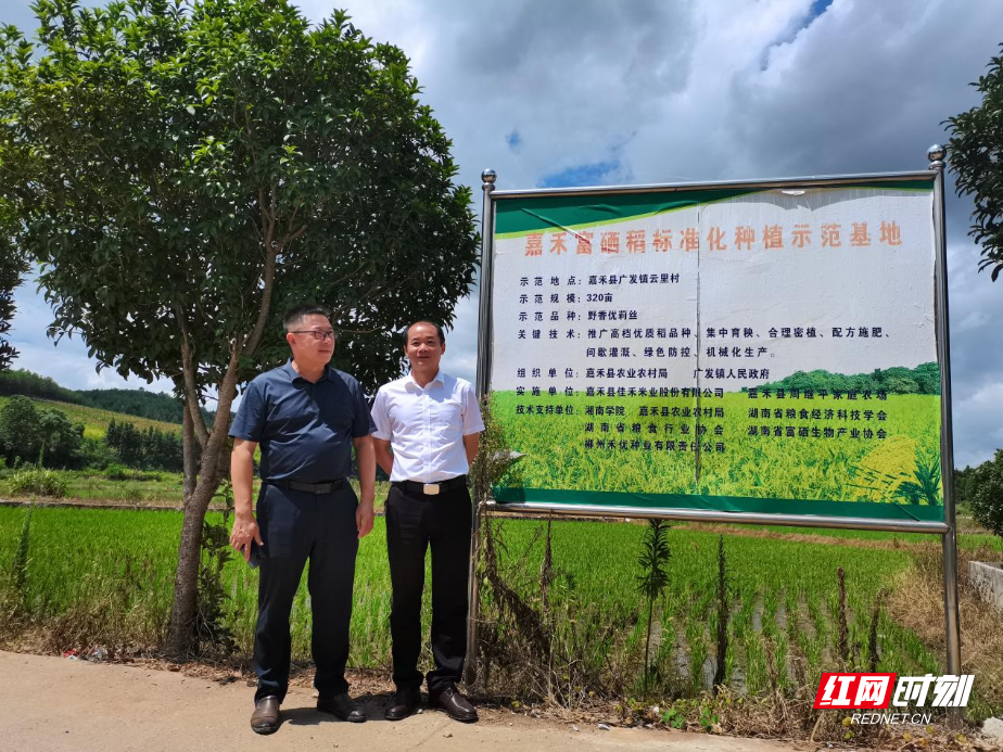 智赋郴州｜邓斌：深耕乡土传技赋能 激活富硒农业振兴动能 - 图2
