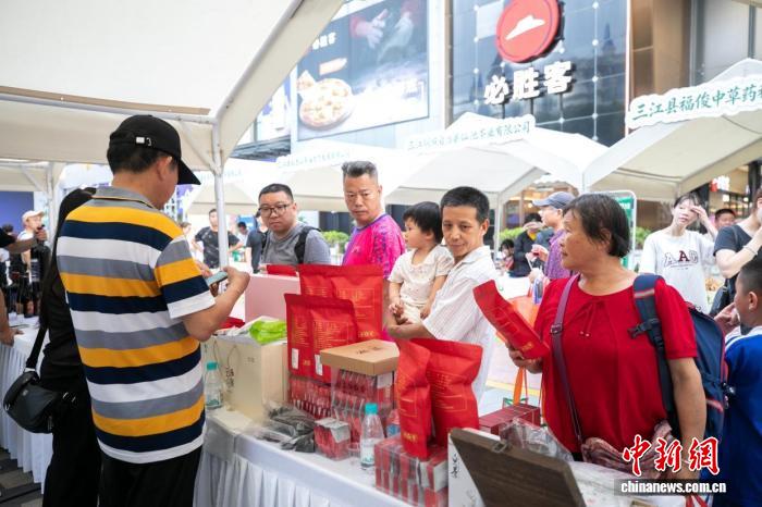 粤桂协作结硕果 三江油茶香飘大湾区 - 图2