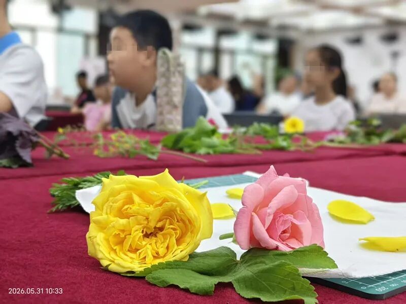 中医护苗 健康润心｜东城中医医院走进东城区少年宫迎“六一”健康科普活动圆满完成 - 图9