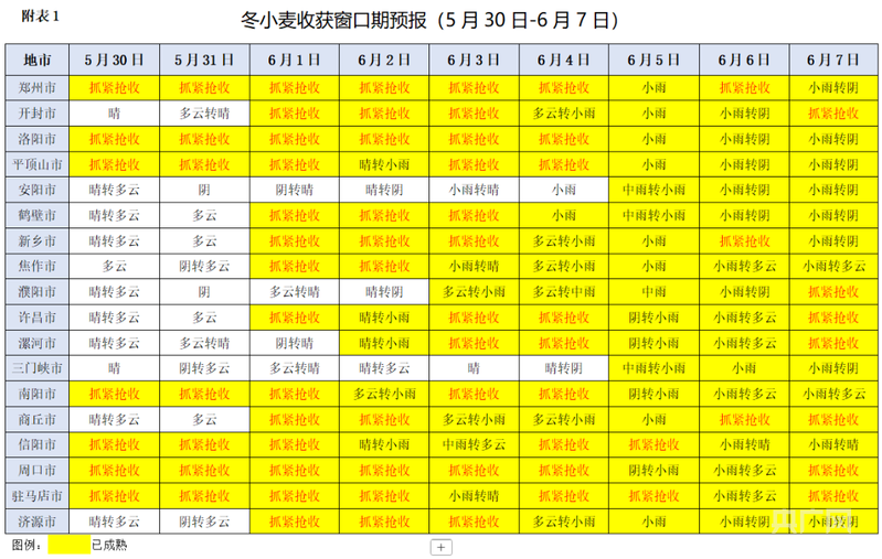 河南：麦浪翻滚机声隆 抢收抢烘保丰收 - 图7
