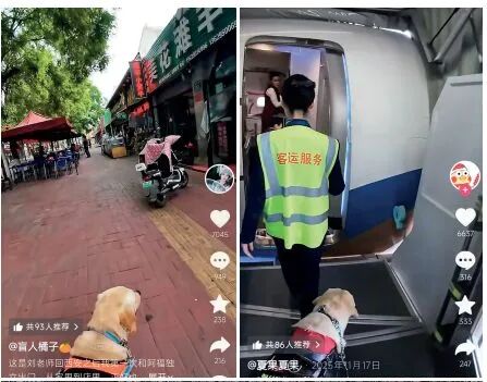 摆拍、反转，被MCN操控背后 - 图1