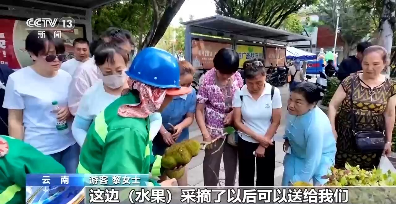 蓝花楹开、行道树挂果、推窗见绿 云南城市绿化氛围感拉满 - 图7