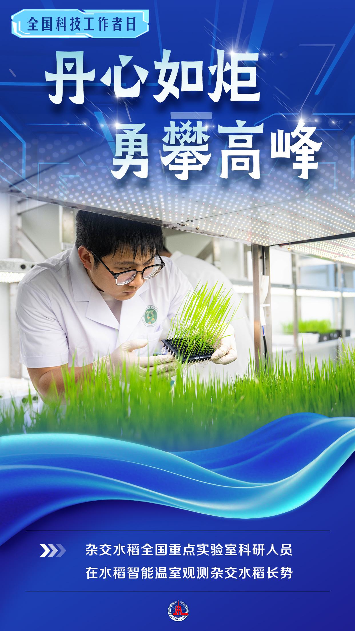 （图表·海报）全国科技工作者日丨丹心如炬 勇攀高峰（1） - 图1