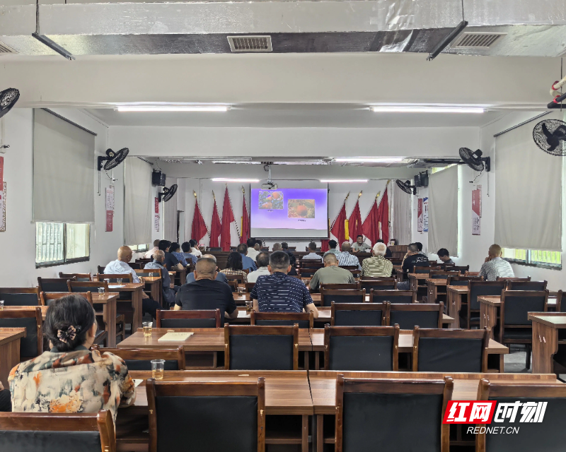 资兴市：送技下乡 助力冰糖橙产业发展 - 图1