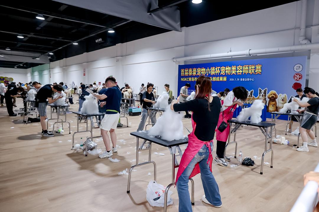 全省首个沉浸式宠物主题综合体落地城阳 - 图3