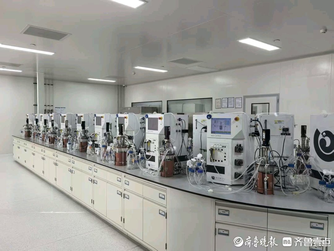 2026年山东省制造业中试平台名单公布，济南入选数量占30% - 图3