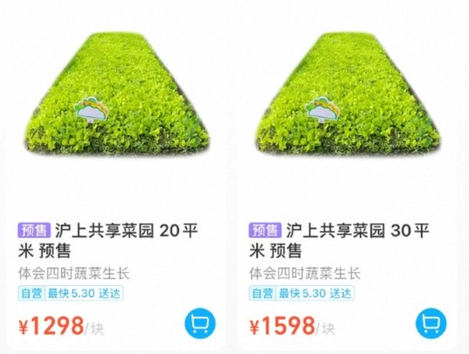 现实版QQ农场？盒马App可下单租地种菜，客服称小范围试点 - 图2