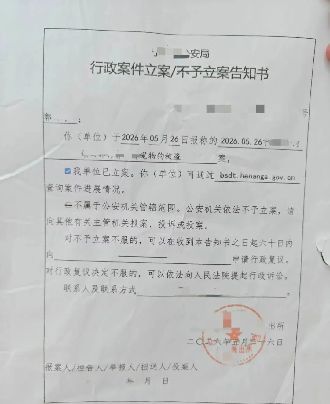 百万粉丝网红边牧被人顺走并以180元转卖遭宰杀，主人悬赏5000元寻找，警方已行政立案 - 图4