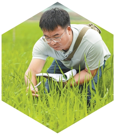 在建设科技强国新征程上建功立业（弘扬科学家精神·全国科技工作者日特别报道） - 图1