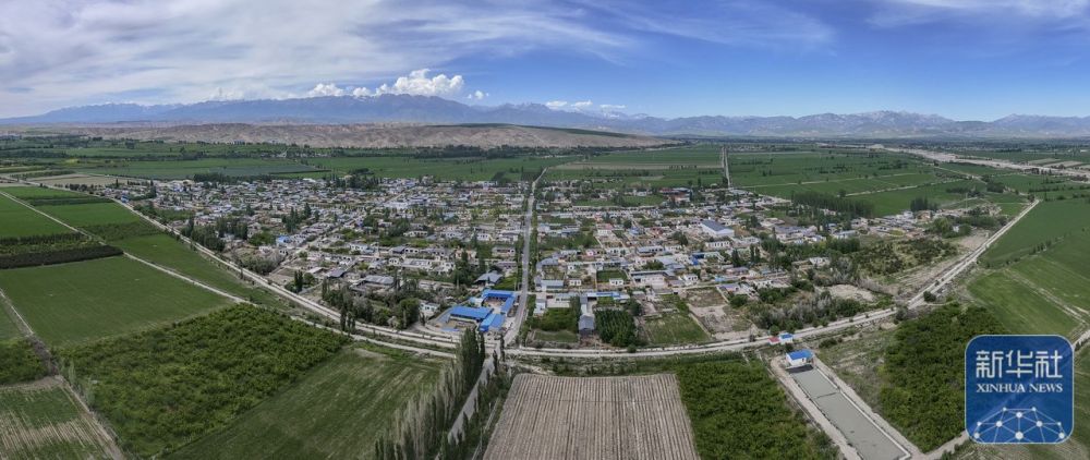 时光相册丨伊车嘎善，一个叫“新村”的地方 - 图2