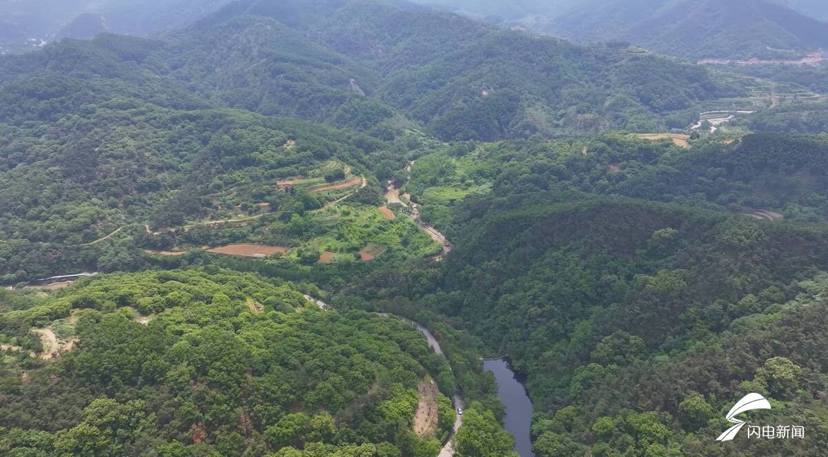 国家二级保护野生动物豹猫现身日照五莲山 - 图3