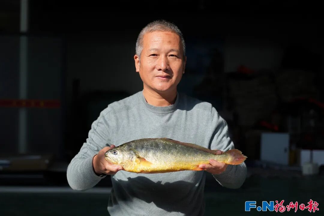 连续六年全省优秀！福州乡村振兴交出高分答卷 - 图2