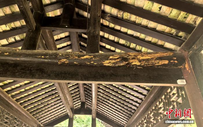 贵州给古建筑做“生物病害专项体检” - 图3