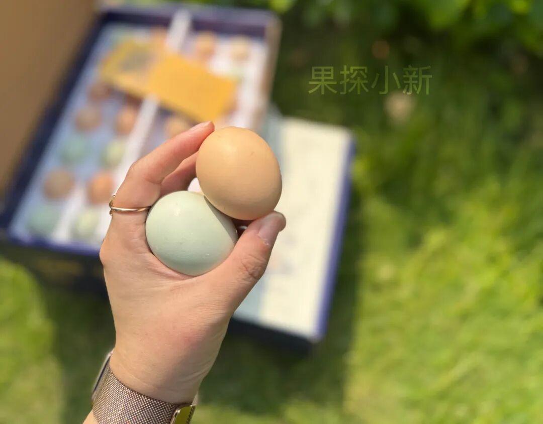 一枚带着泥巴和草渍的鸡蛋，反倒成了我们这最受欢迎的产品 - 图2