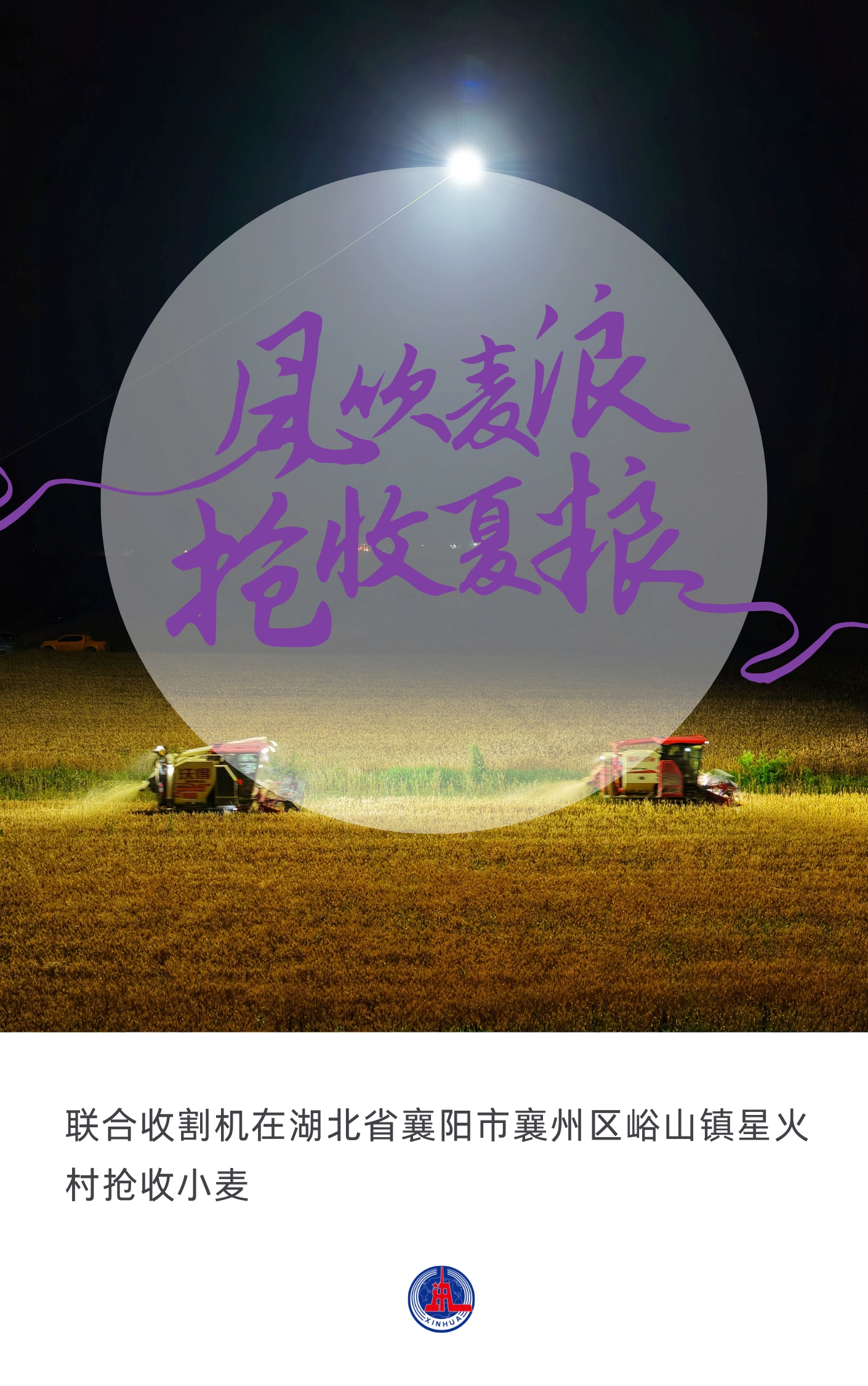 （图表·海报）风吹麦浪 抢收夏粮（2） - 图1