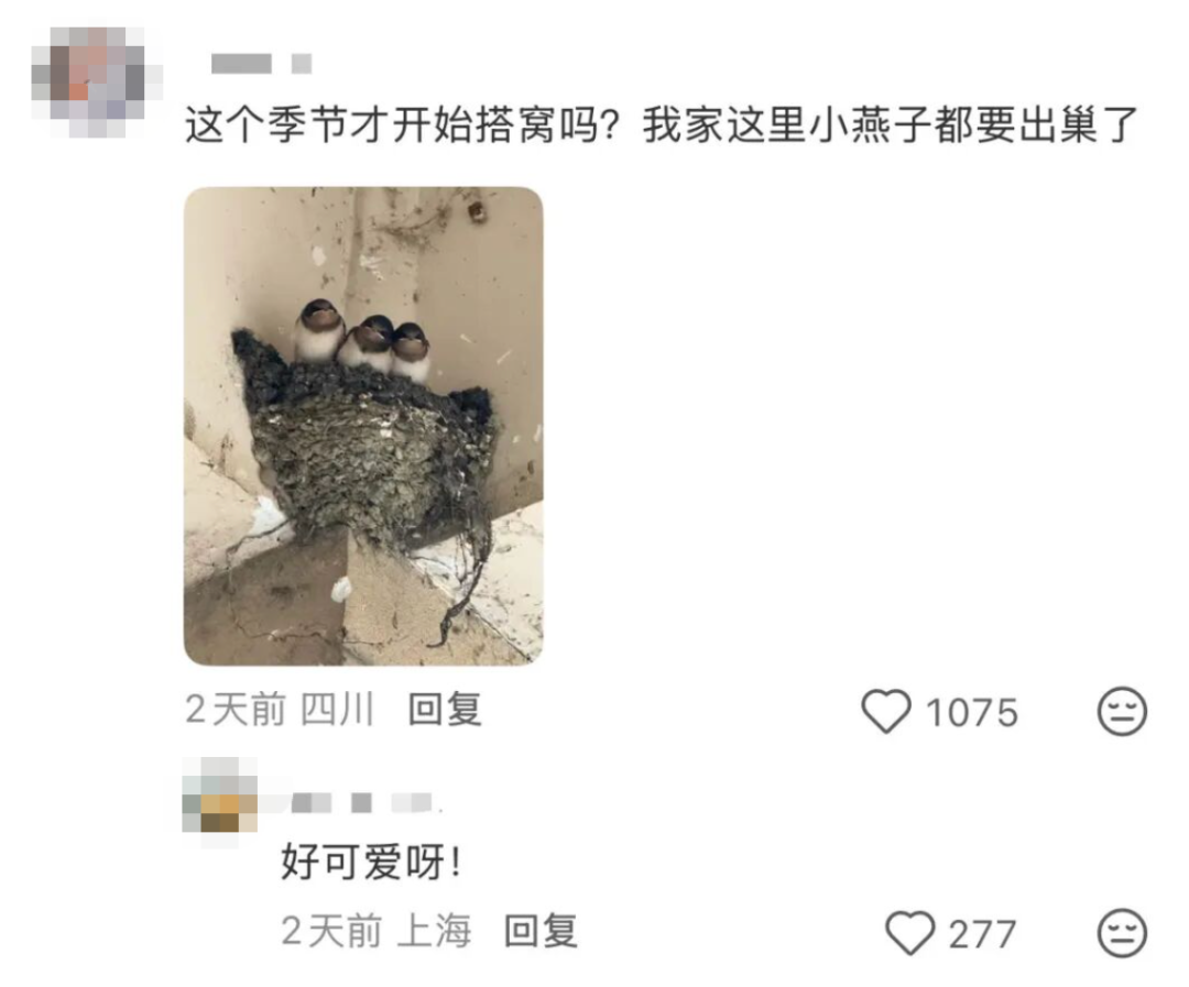 “本人于2026年5月种出了番茄，望周知” - 图25