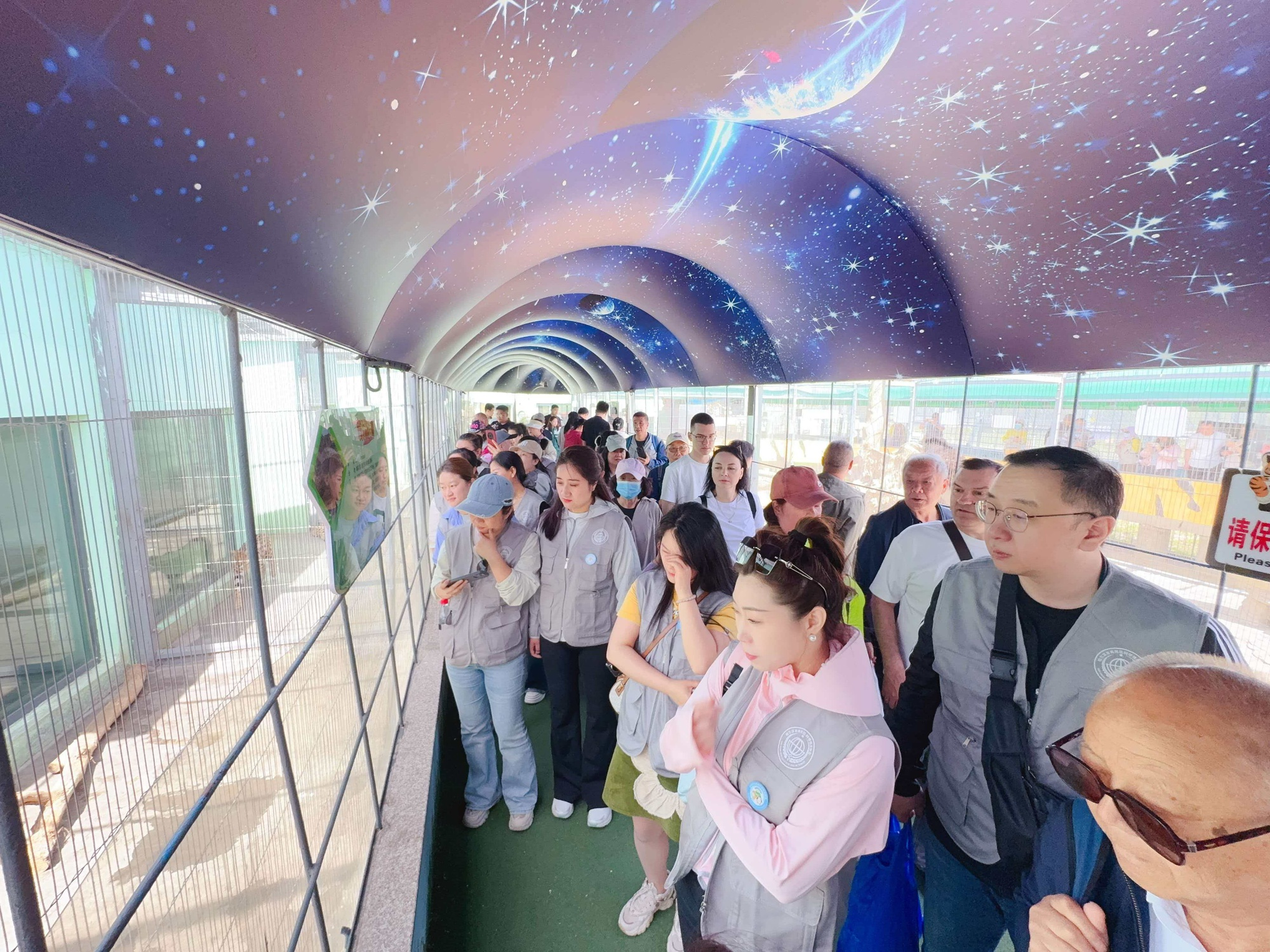 全国科技活动周｜“冰城寒地探秘科普研学”走进东北虎林园 - 图1