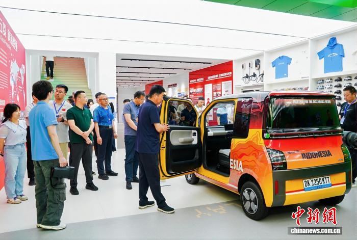 中国—东盟专家共商新能源汽车国际化人才培养 - 图1