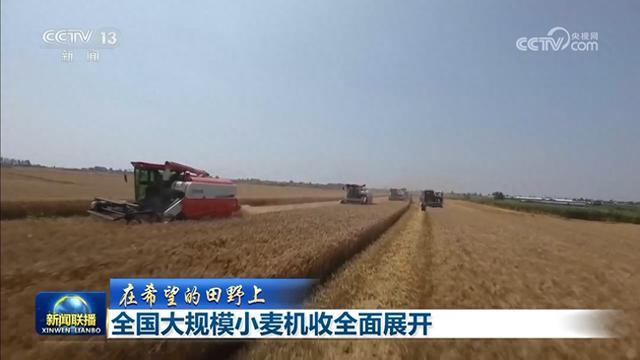 「在希望的田野上」全国大规模小麦机收全面展开 - 图1