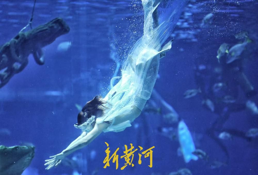 “六一”遇酷暑 济南融创海世界成亲子避暑地 人鱼表演人气爆棚 - 图1