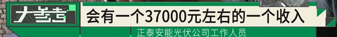 “感觉妈妈彻底走了！”女子20年老宅被亲戚擅装光伏板，母亲种的树全被砍 - 图22