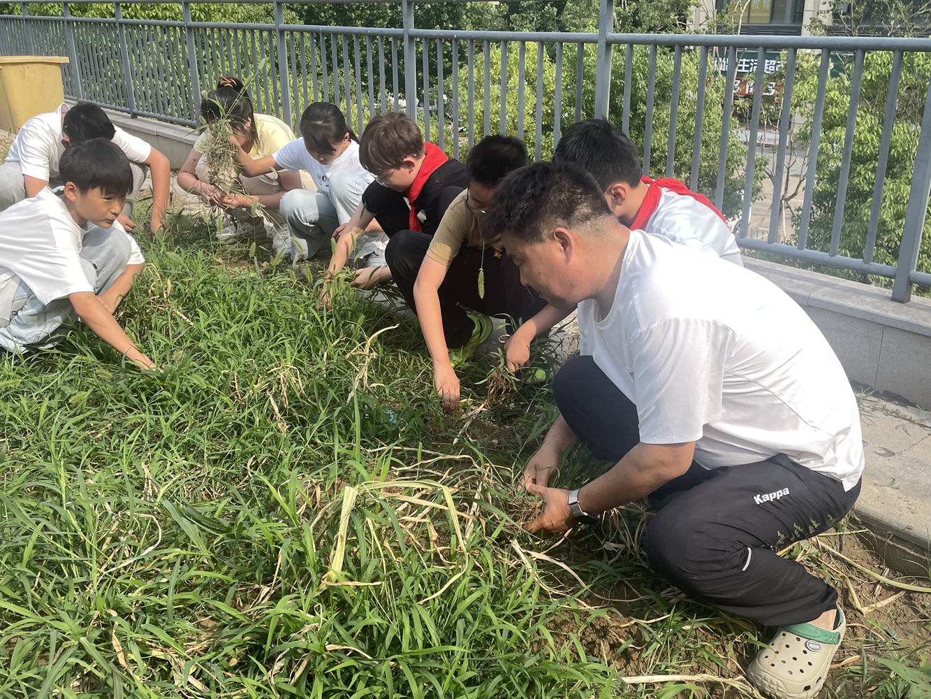 劳动润童心——管城区青山路小学开展劳动周活动 - 图1