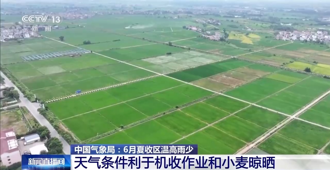 6月夏收区温高雨少 利于机收作业和小麦晾晒 - 图1