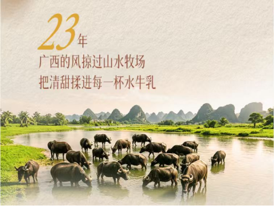 百菲乳业23周年｜喝一口就爱上的秘密 - 图1