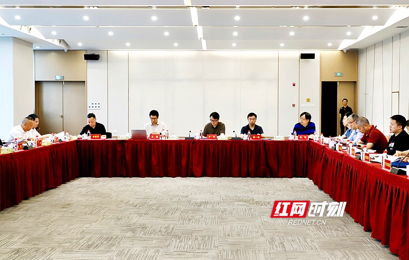 汇聚全国智慧 长沙城市更新专项规划通过专家评审 - 图2