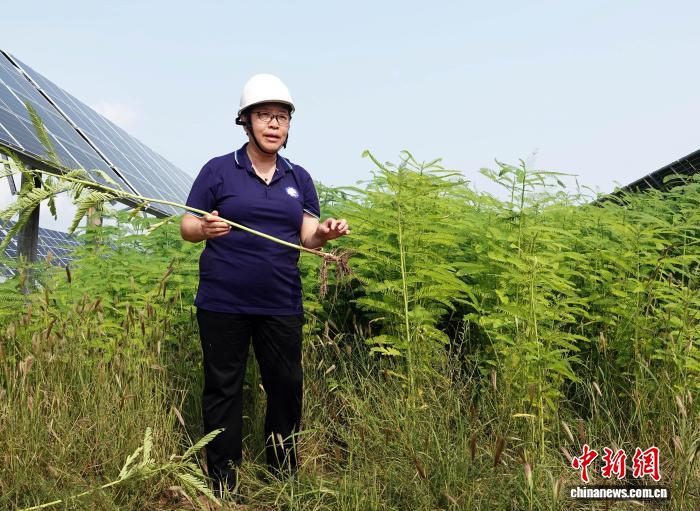 中国科学院院士李灿、曹晓风当选英国皇家学会院士 - 图2
