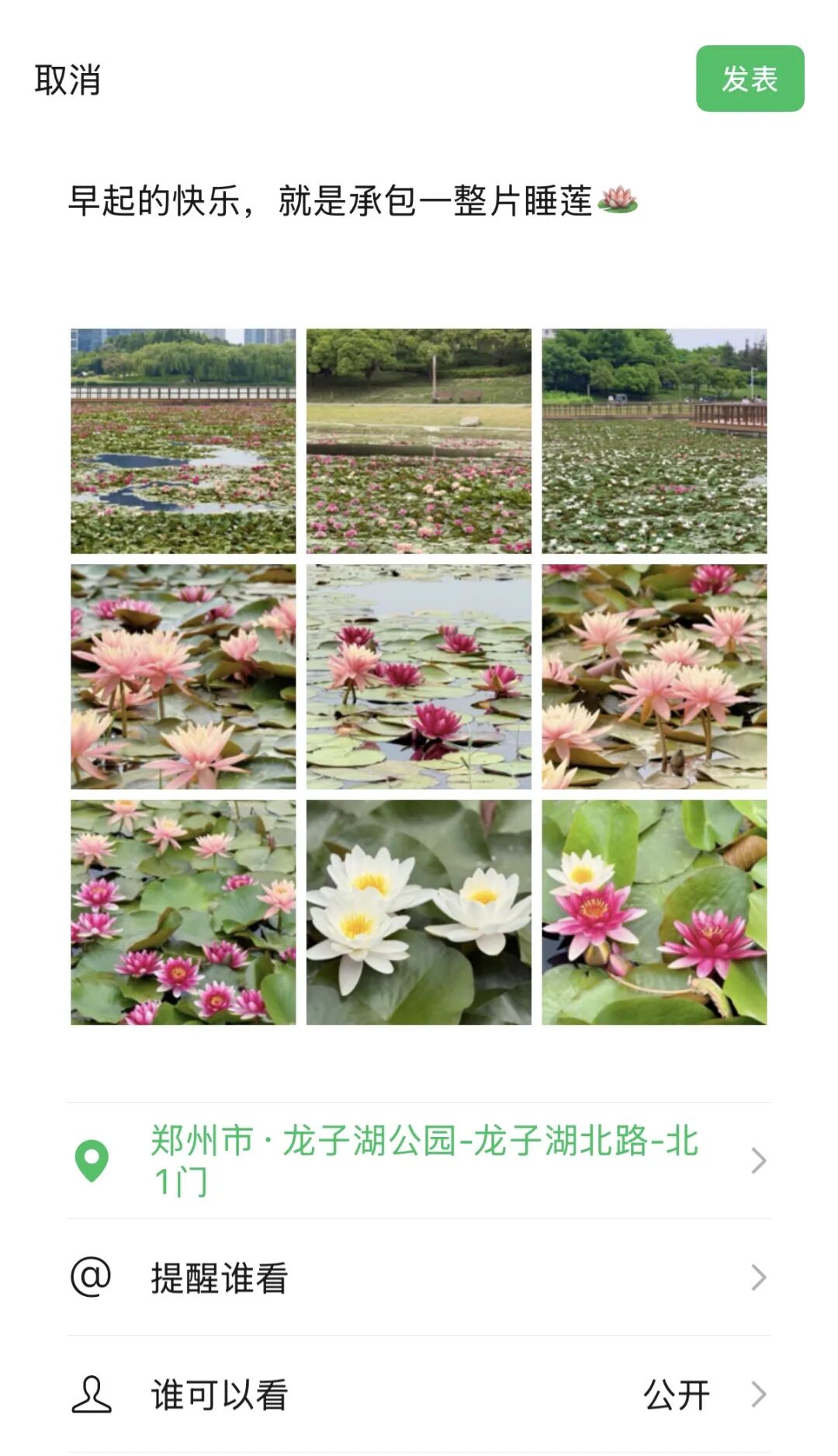 赏花地图！郑州东区“初夏限定朋友圈”来了 - 图1