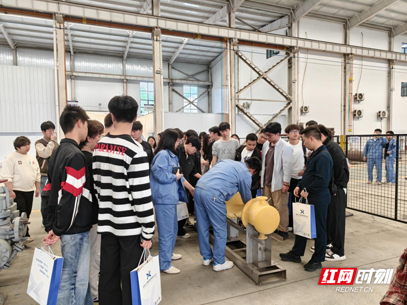 岳阳政校企联手送Offer！“大学生名企行”为高校毕业生打通就业“高速路” - 图2