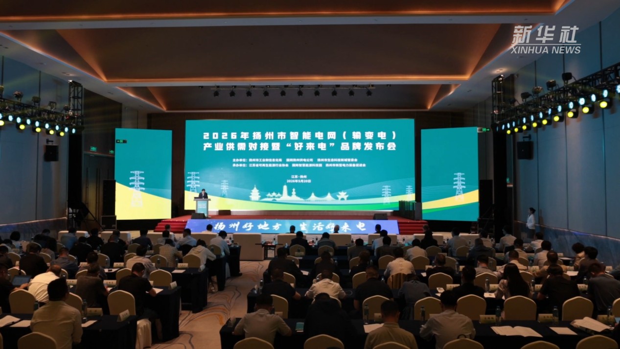 江苏扬州：供需对接助推智能电网产业高质量发展 - 图1