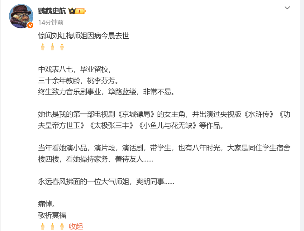 演员刘红梅去世 - 图4